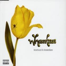 Wheatus : American In Amsterdam